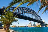 Sydney Harbour Bridge Palm Trees