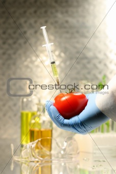 Hand holding tomato with syringe