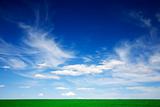 Green field, blue skies, white clouds in spring