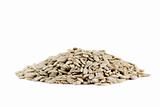 A pile of Sunflower seeds isolated on white background
