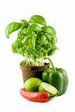 Basil, lime, chili & green bell pepper isolated on white backgro