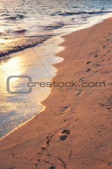 Tropical beach with footprints 