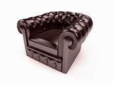 Leather royal armchair
