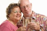 Happy Senior Couple Toasting