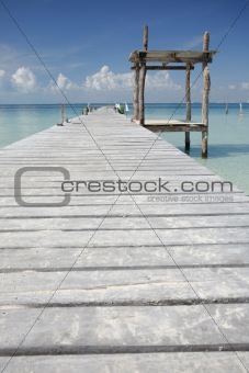 Tropical Boardwalk