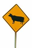 Isolated cattle crossing sign