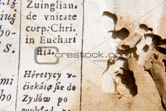 detail from old bible - bookworm