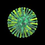 micro cell of bird flu