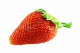 close up shot of single fresh ripe strawberry