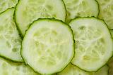 Circles of a fresh cucumber