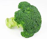 Fresh isolated broccoli
