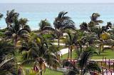 Palm Tree Resort