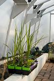 Vertical Greenhouse