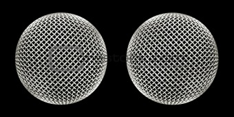 twin microphones