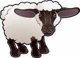 Cute Sheep Farm Animal Vector Illustration