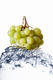 Grapes in Water