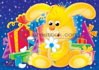 Yellow bunny