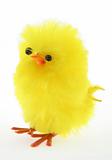 easter toy chicken - real macro