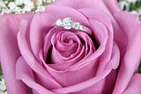 Engagement Ring in Pink Rose