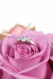 Engagement Ring in Pink Rose Taken Closeup