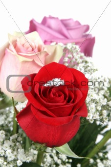 Ring in Rose