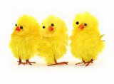 three easter toy chickens
