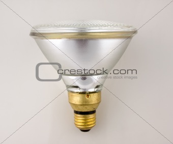 Clear Flood Light Bulb
