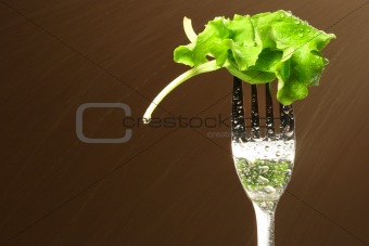 Leaf of lettuce on a fork