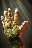 Open hand with green substance, close-up