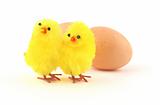 two easter toy chicken isolated on white