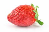 fresh delicious strawberry