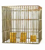 banking - coins in cage on white #3