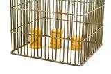 banking - coins in cage on white