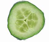 cucumber slice details on white