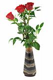 roses in vase - pure white background