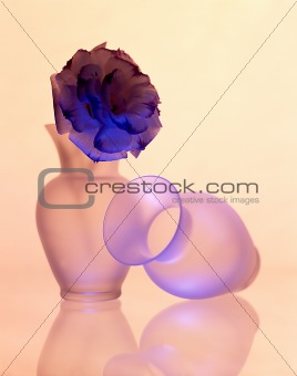 Rose in a Vase