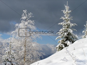 winter landscape 1