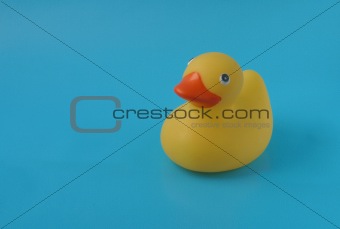 Rubber Duckie