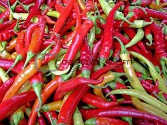 Hot chilly peppers