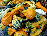 Bunch of pumpkins