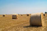 Bale  of  hay