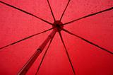 Under my umbrella