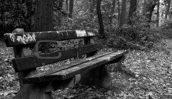 Old park bench