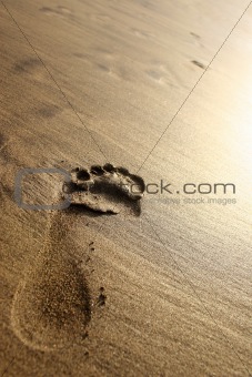 Sunset Beach Footprint