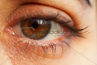 sharp and detail macro of eye