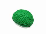 Green Brain Model on White Background