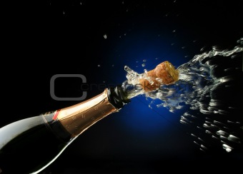 Champagne Bottle Pictures