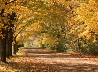 Autumn Lane