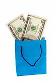 dollar bill on a Shopping bag. With clipping path