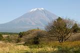 Mount Fuji in Fall IV